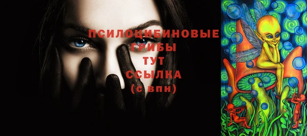 бошки Костерёво