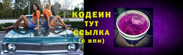 мдпв Корсаков