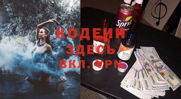 мдпв Корсаков
