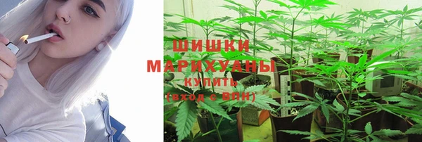 мдпв Корсаков