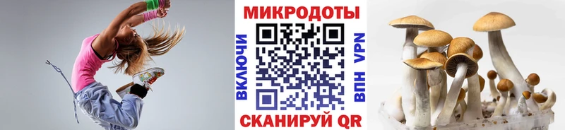 Псилоцибиновые грибы прущие грибы  как найти закладки  Шумерля 